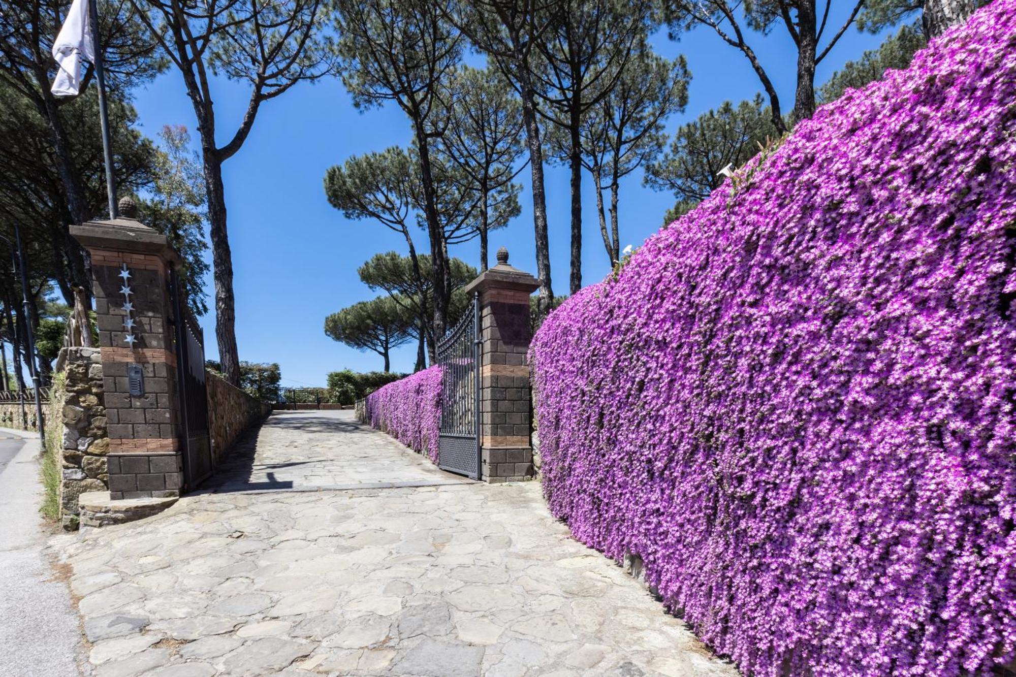Hotel Oasi Olimpia Relais SantʼAgata sui Due Golfi Esterno foto
